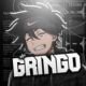 Gringo XP v78 (Latest Version) Free Download